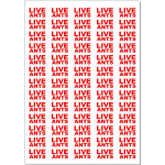 Live Ants Stickers