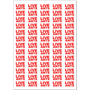 Live Ants Stickers