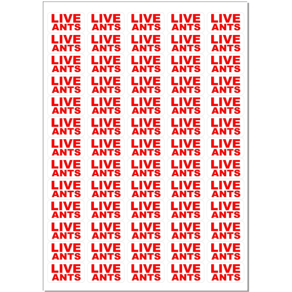 Live Ants Stickers